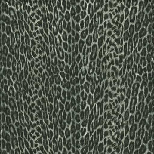 Dc-fix leopardi 45x200cm 346-0537 | säästötalo latvala