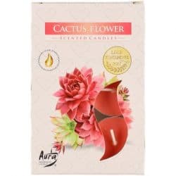 TuoksulÄmpÖkynttilÄ cactus flower 6kpl | säästötalo latvala