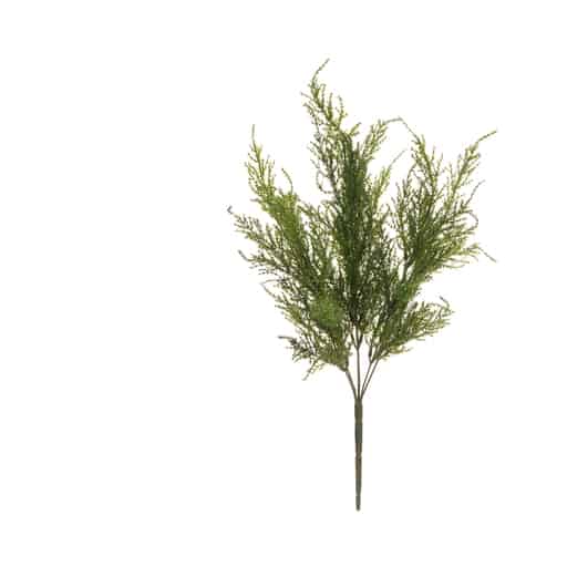 4living sypressinoksa kimppu 53cm | säästötalo latvala