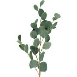 4living eukalyptus oksa 90cm | säästötalo latvala