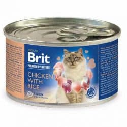 Brit premium kana-riisi aikuisille kissoille 200g | säästötalo latvala