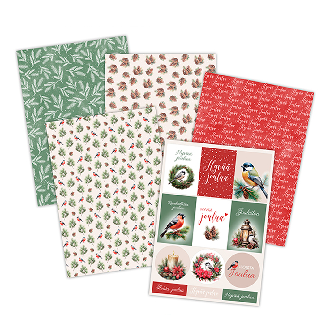 Kartonkilajitelma a4 linnut ja tekstit 10ark | säästötalo latvala