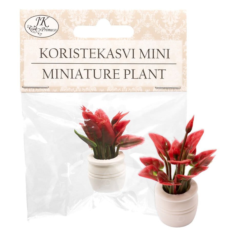 Koristekasvi mini punainen Koristekasvi mini punainen